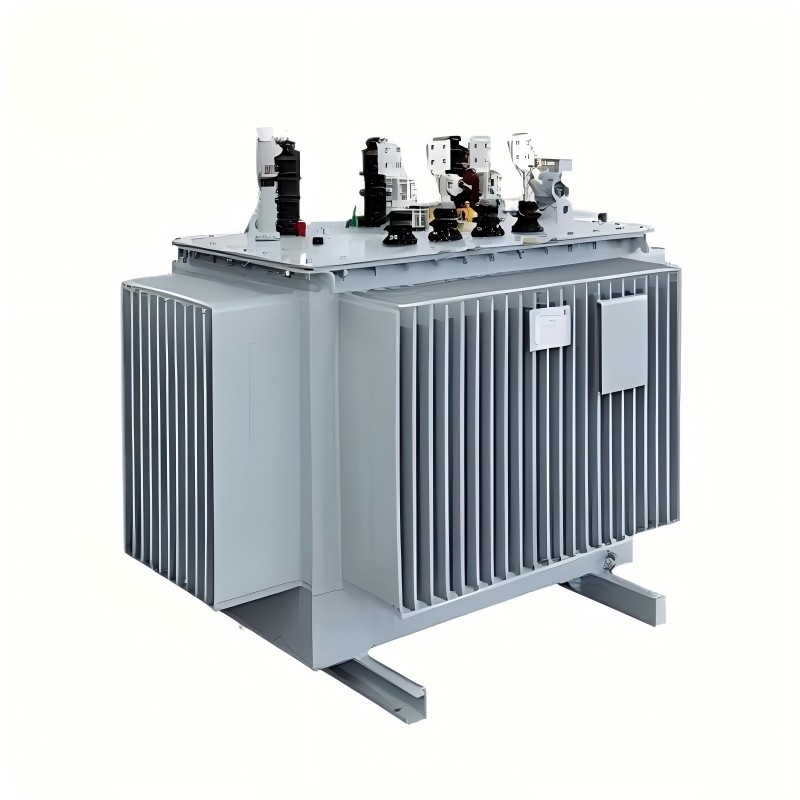 S13 ซีรีส์ 10kV หม้อแปลงไฟฟ้ากำลังแบบแช่น้ำมัน